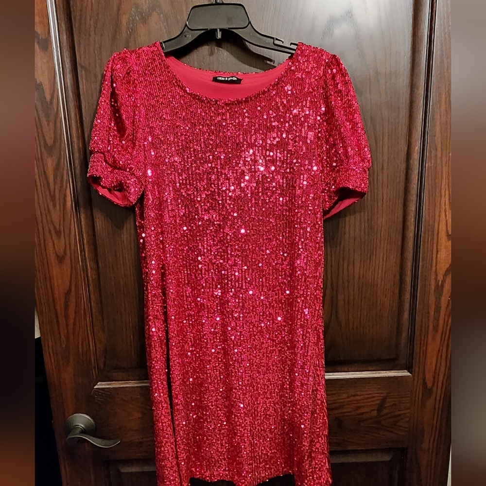 Dark Pink Sequin Shift Dress